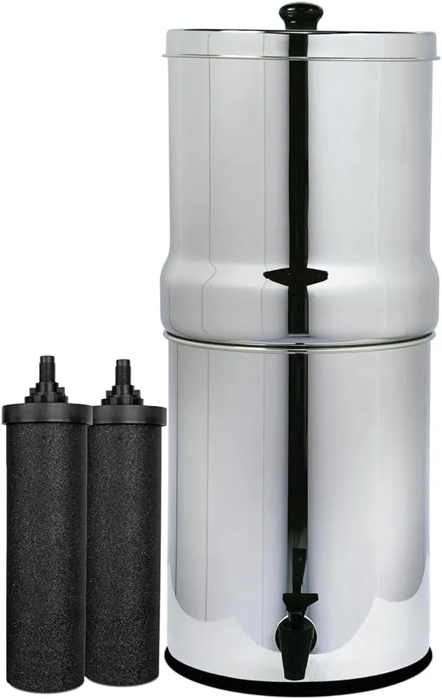 AquaEasy Stainless Steel Gravity Water Filter System (2.25 Gallon) with 2X Activated Carbon Filter, Countertop Water Filtration System (Lite)