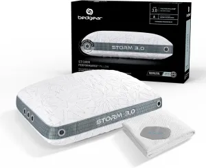 Bedgear Storm Size 3.0 Pillow & Dri-Tec Protector - Queen Size - Sleep Essentials Bundle