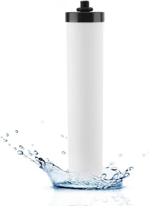 Ceramic Water Filter Replacement,Water Purifier Replacement Filters,Water Filter Element with 1/4in Water Outlet Filtration System Purify Replacement Part Refreshing Water at Home