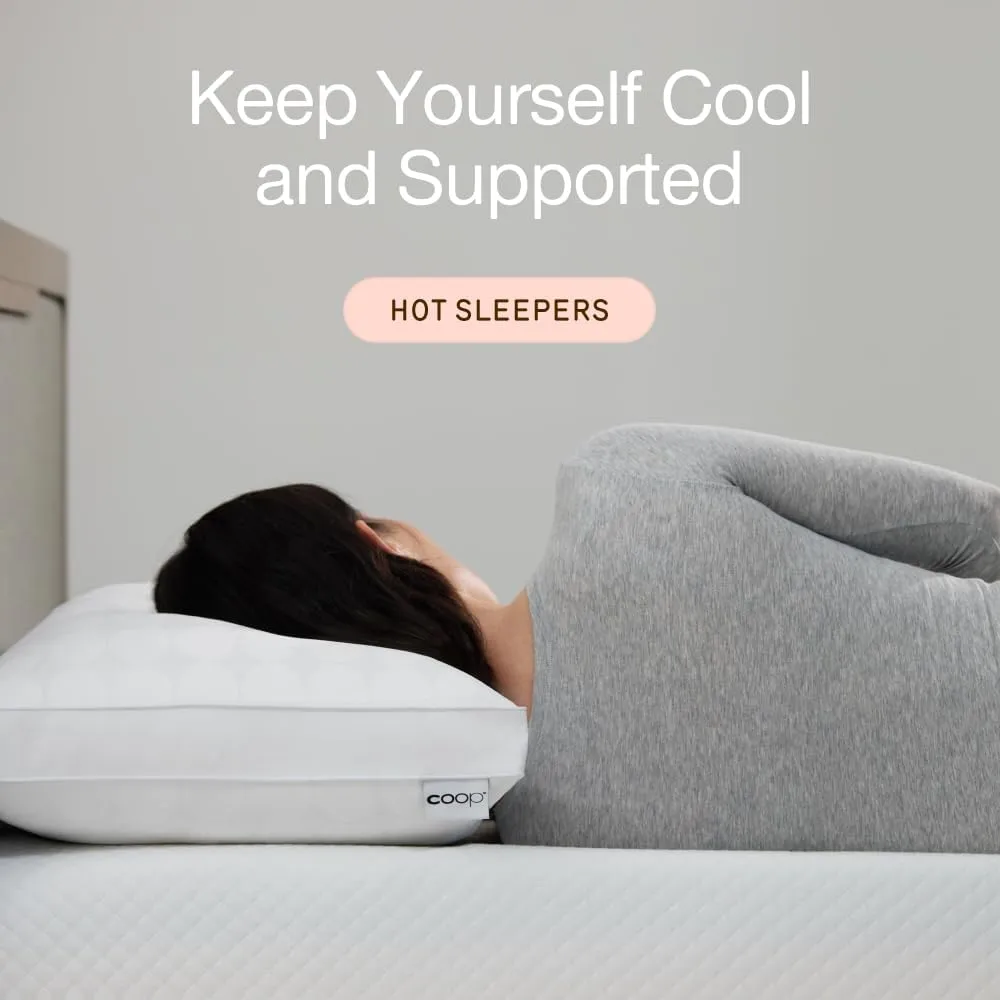 Coop Home Goods Essence Cooling Down Alternative Pillows Set of 2, Queen Size Adjustable Cooling Pillow for Hot Sleepers, Cool-Touch Luxury Hotel Pillows for Stomach, Back, or Side Sleepers 27x17