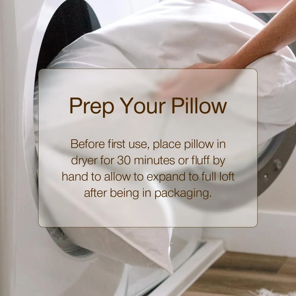 Coop Home Goods Essence Cooling Down Alternative Pillows Set of 2, Queen Size Adjustable Cooling Pillow for Hot Sleepers, Cool-Touch Luxury Hotel Pillows for Stomach, Back, or Side Sleepers 27x17