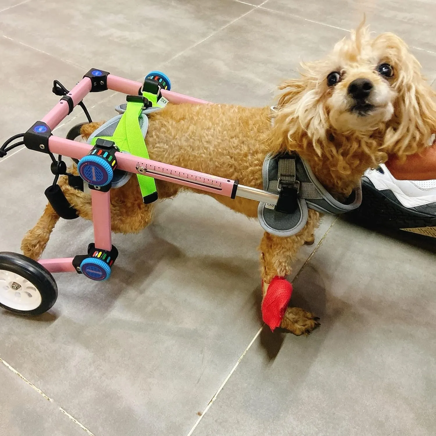 Dog Wheelchair, Dog Leg Brace Support, Dog Large Small Medium Wheelchair Cart, with Dog Leash & Handbag & Back Leg Pull Leash, Disabled Dogs Cat Rehabilitation Walk Car, Pink