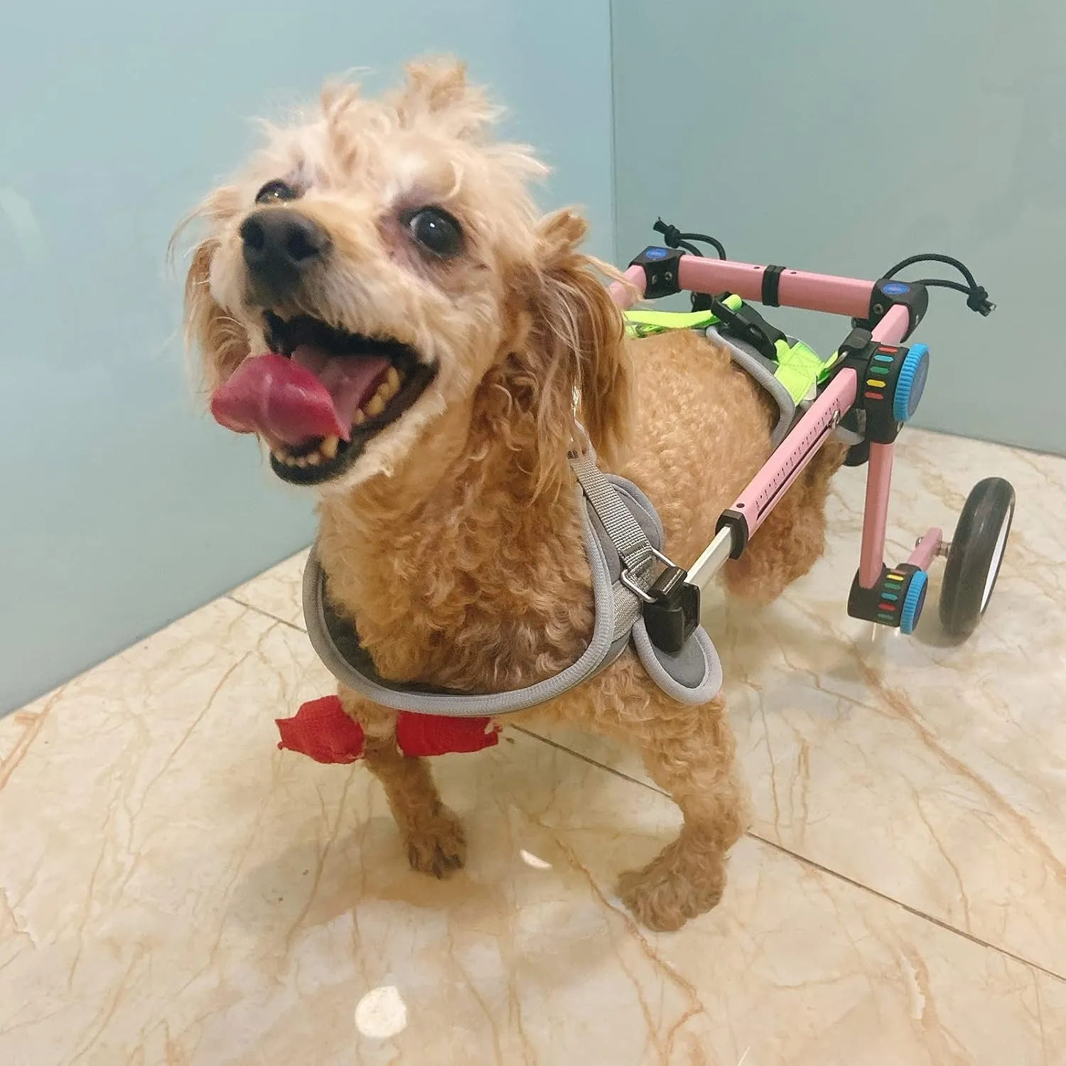 Dog Wheelchair, Dog Leg Brace Support, Dog Large Small Medium Wheelchair Cart, with Dog Leash & Handbag & Back Leg Pull Leash, Disabled Dogs Cat Rehabilitation Walk Car, Pink