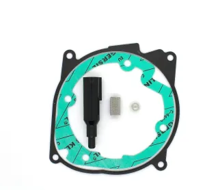 Eberspacher Espar Airtronic D4 and D4s Heater Gasket Service Set inc Fuel Dosing Pump Filter