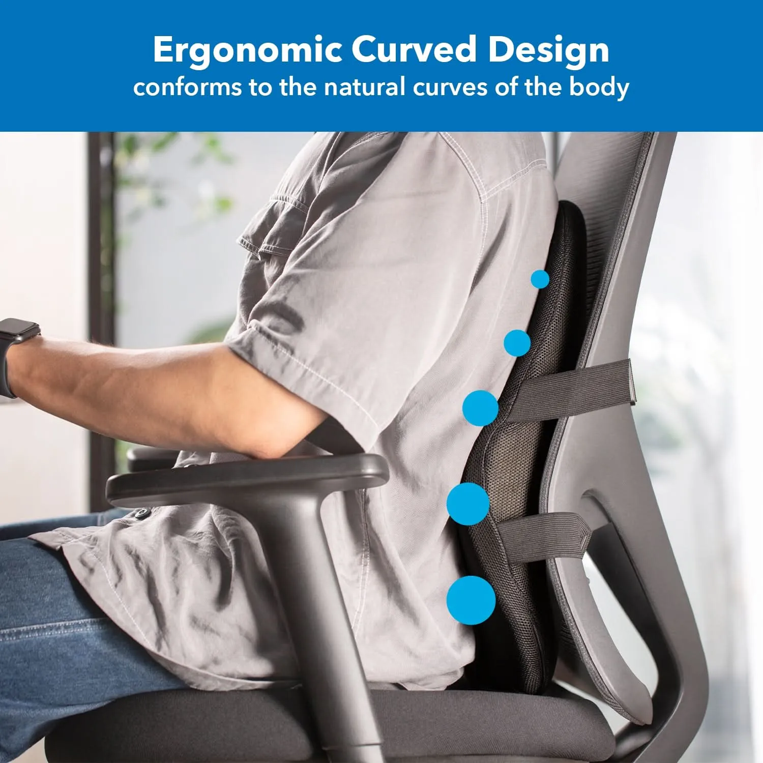 Ergo Collection Lumbar Support