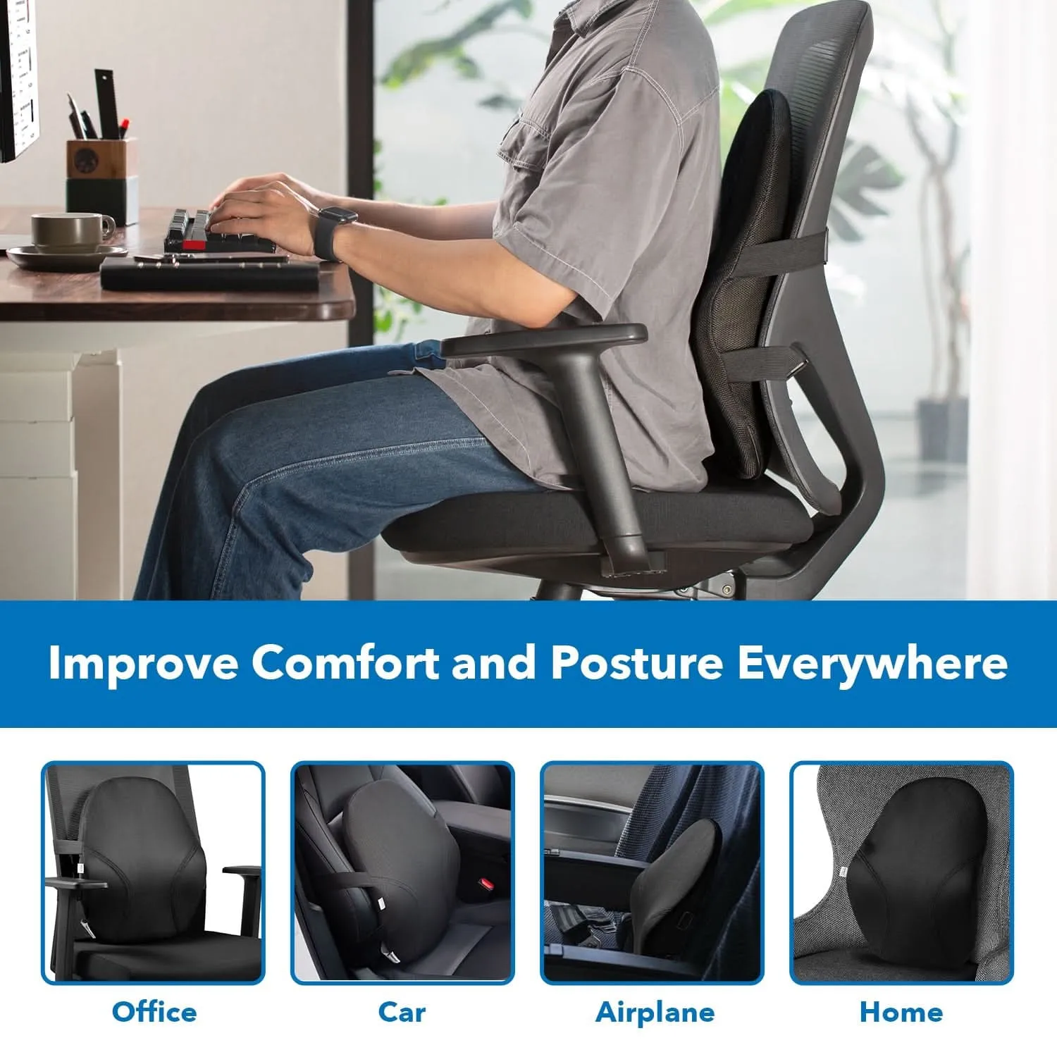 Ergo Collection Lumbar Support