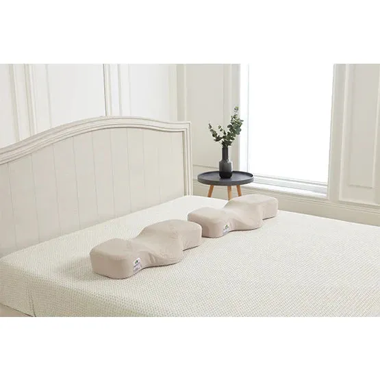 ERGOWORKS - EW-DPP-01 - Dual Plus Perfect Sleep Pillow