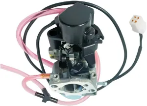 Eu3000i Eu3000is Inverter Generator Carburetor, Carburetor Assy for Honda Predator 3500 63584 Watts Generator Kipor Ig3000 Replaces 16100-ZL0-D66 with Fuel Line Fuel Pump Kit