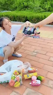 Foldable Shopping Trolley Bag