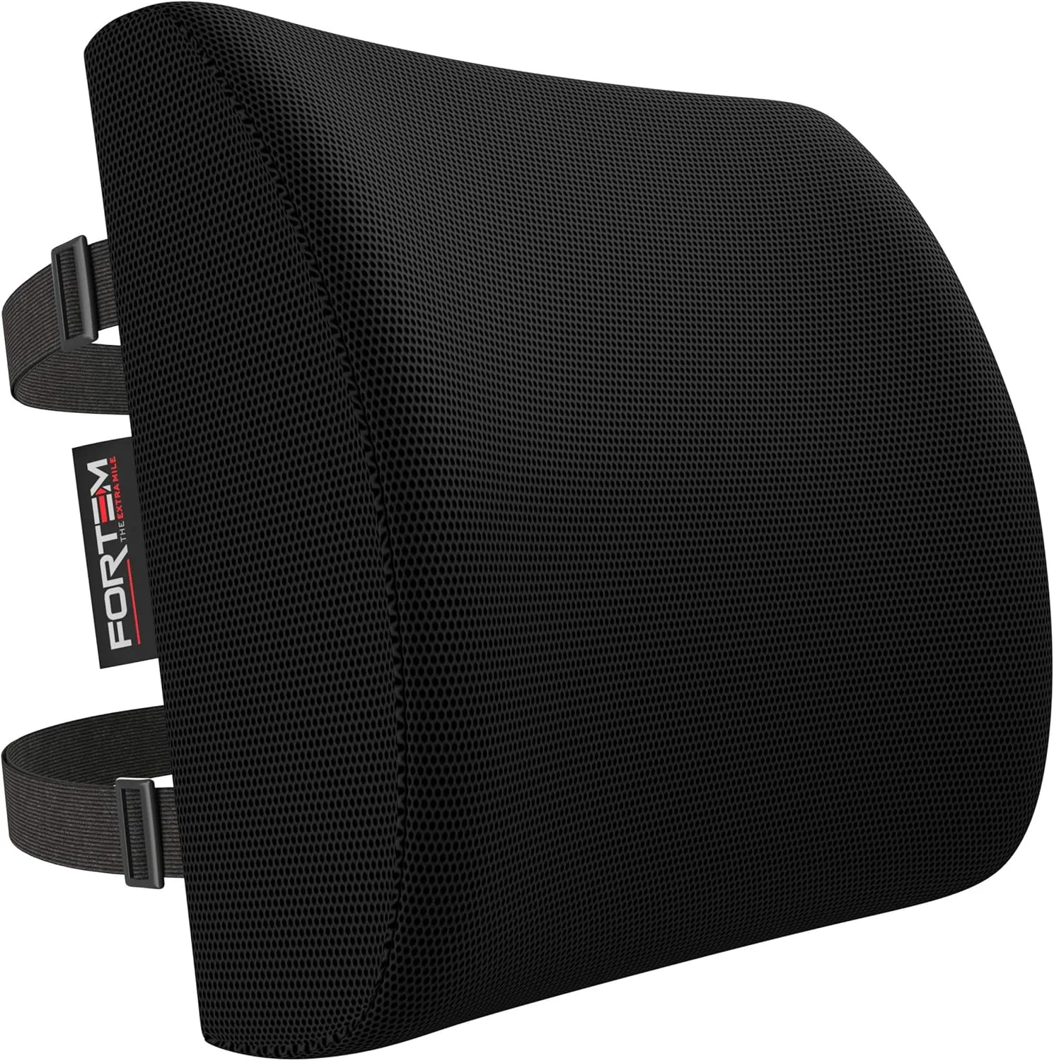 FORTEM Lumbar Support Cushion, Back Support for Office Chair and Car Seat, Back Rest for Gaming Chair, Memory Foam Pillow, Desk Chair Cushion, Breathable & Washable Cover, Adjustable Straps