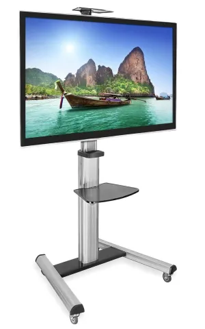 Heavy Duty Mobile TV Cart