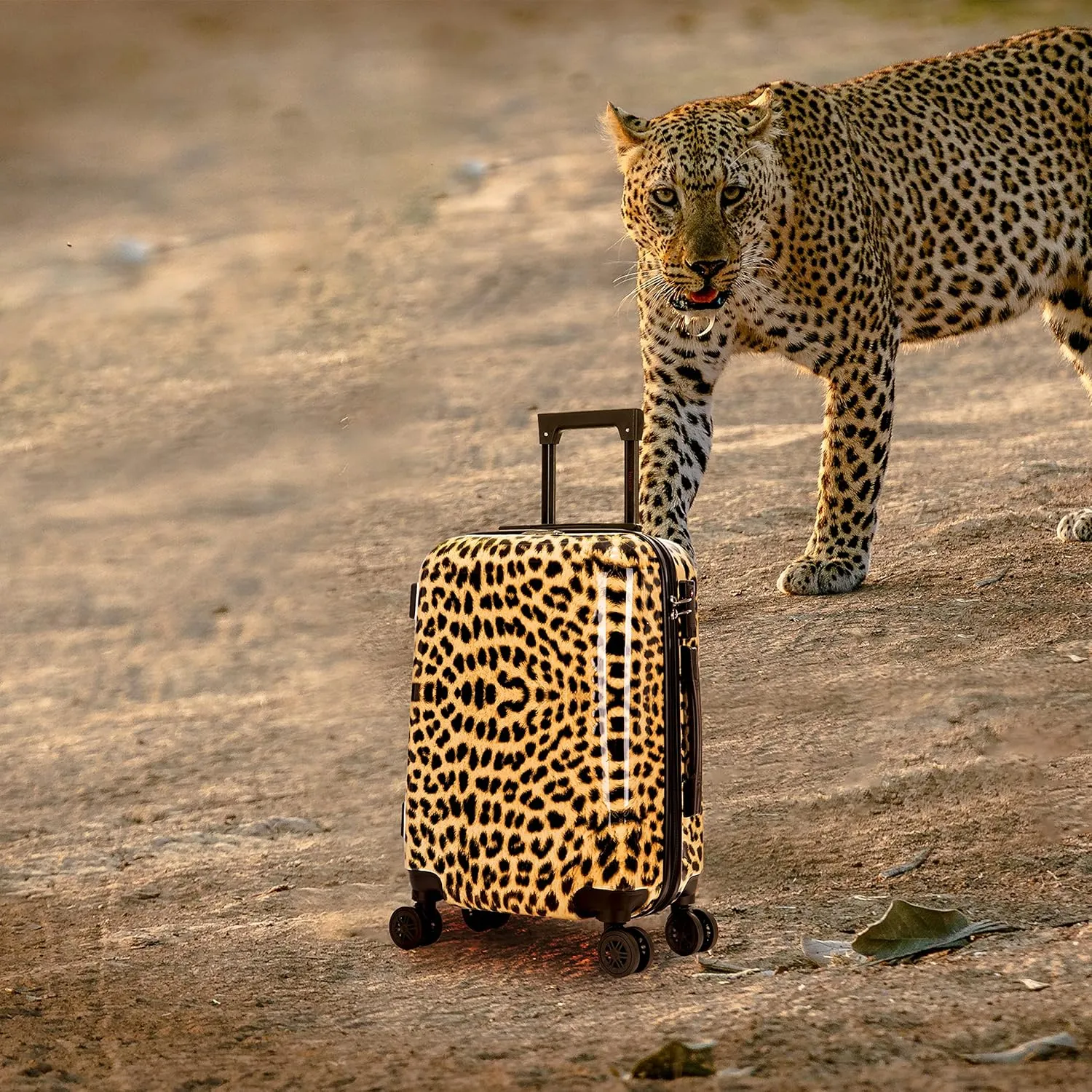InUSA Cheetah Print Luggage with Spinner Wheels | Durable Lightweight Hardside Suitcase | Travel Bag with Handle and Trolley | 20-Inch Carry On Small Luggage