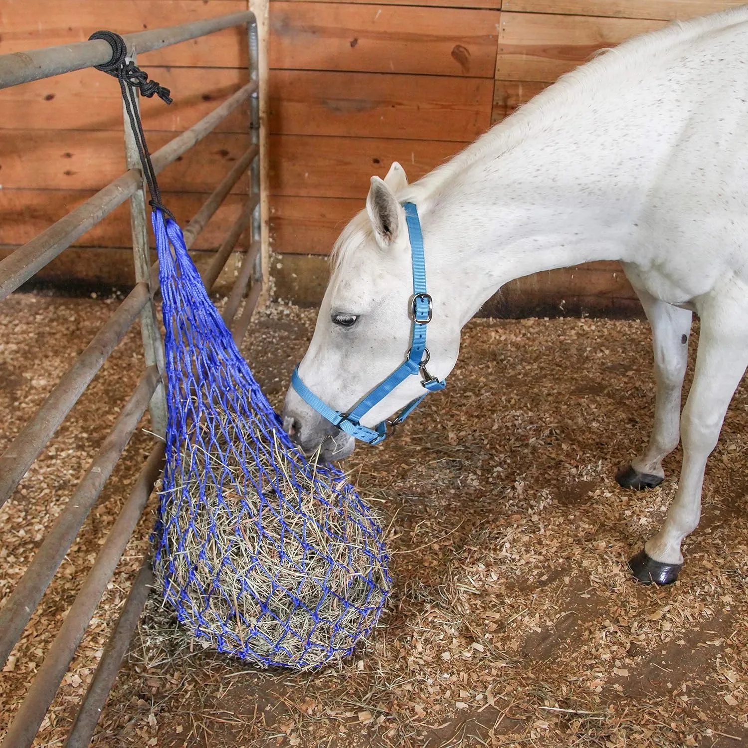 Majestic Ally Hay Net, Set of 2, Length - 54”, Holes 3"x3" for Horses