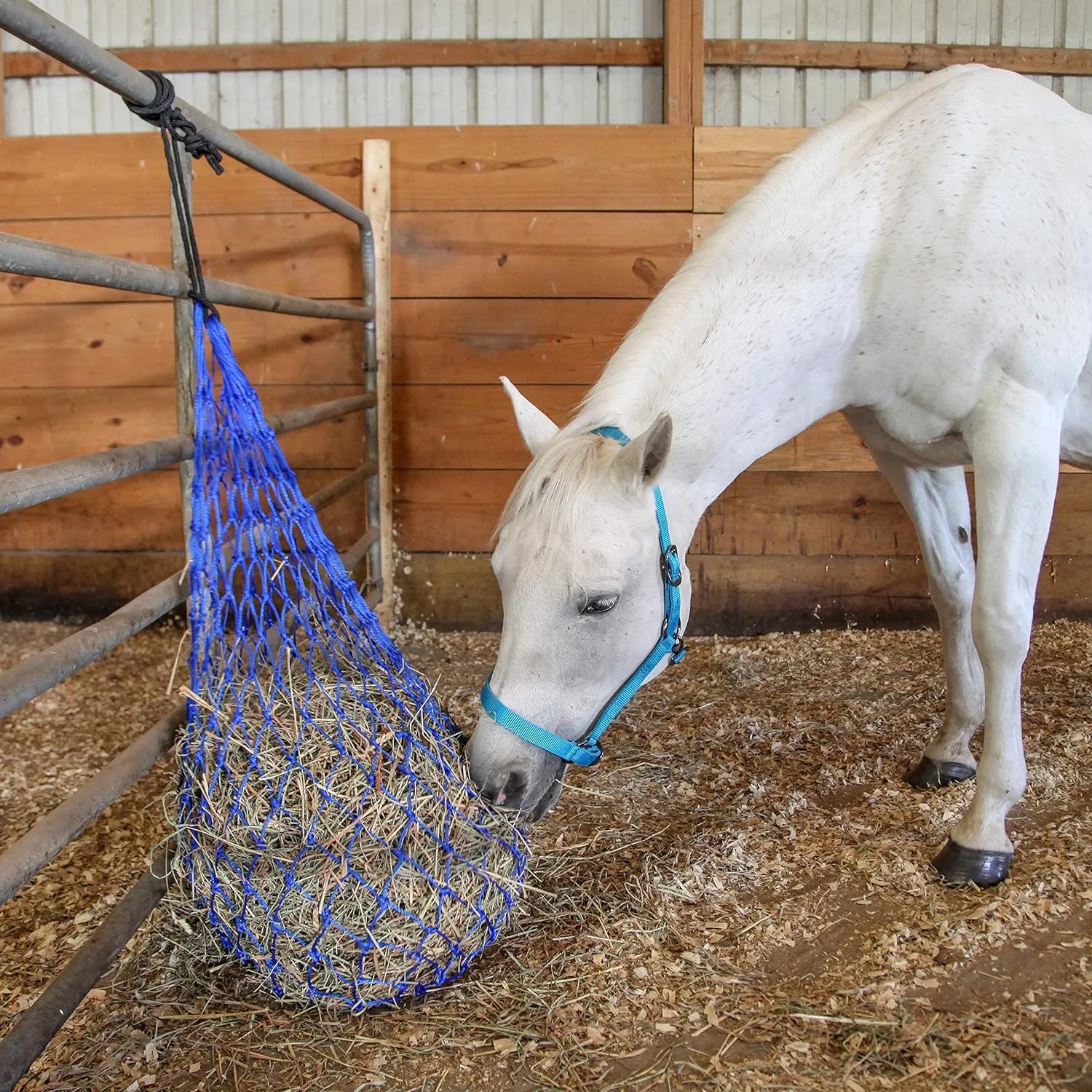 Majestic Ally Hay Net, Set of 2, Length - 54”, Holes 3"x3" for Horses