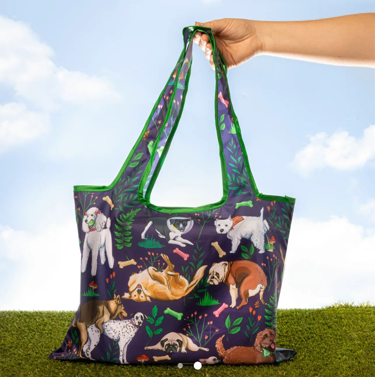 NOW ON SALE! Foldable Shopping Pawesome Bag  La La Land!