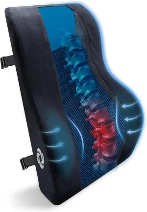 Samsonite Lumbar Support Pillow – Ergonomic Back Rest for Office Chair & Car Seat, Memory Foam Cushion for Lower Back Pain Relief, Breathable Mesh, Adjustable Strap, Black/Blue Mesh