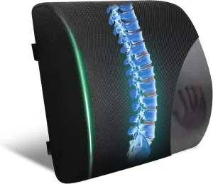 Sealy Lumbar Support Pillow for Office Chair and Car Seat - Memory Foam Lumbar Pillow & Back Brace Support Posture Corrector, Lower Back Pain Relief