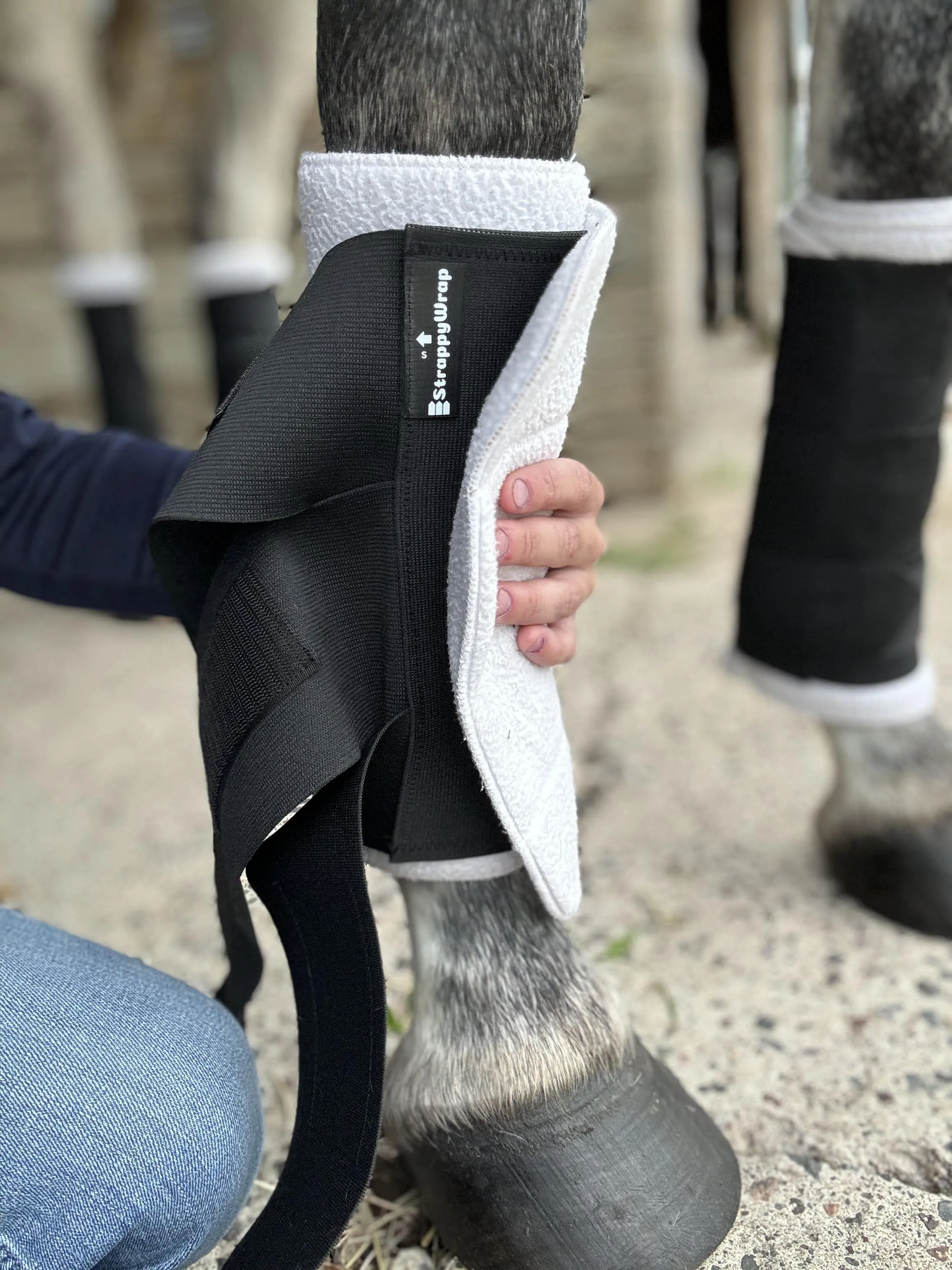 StrappyWrap -  The Ultimate Quick Apply Horse Wraps