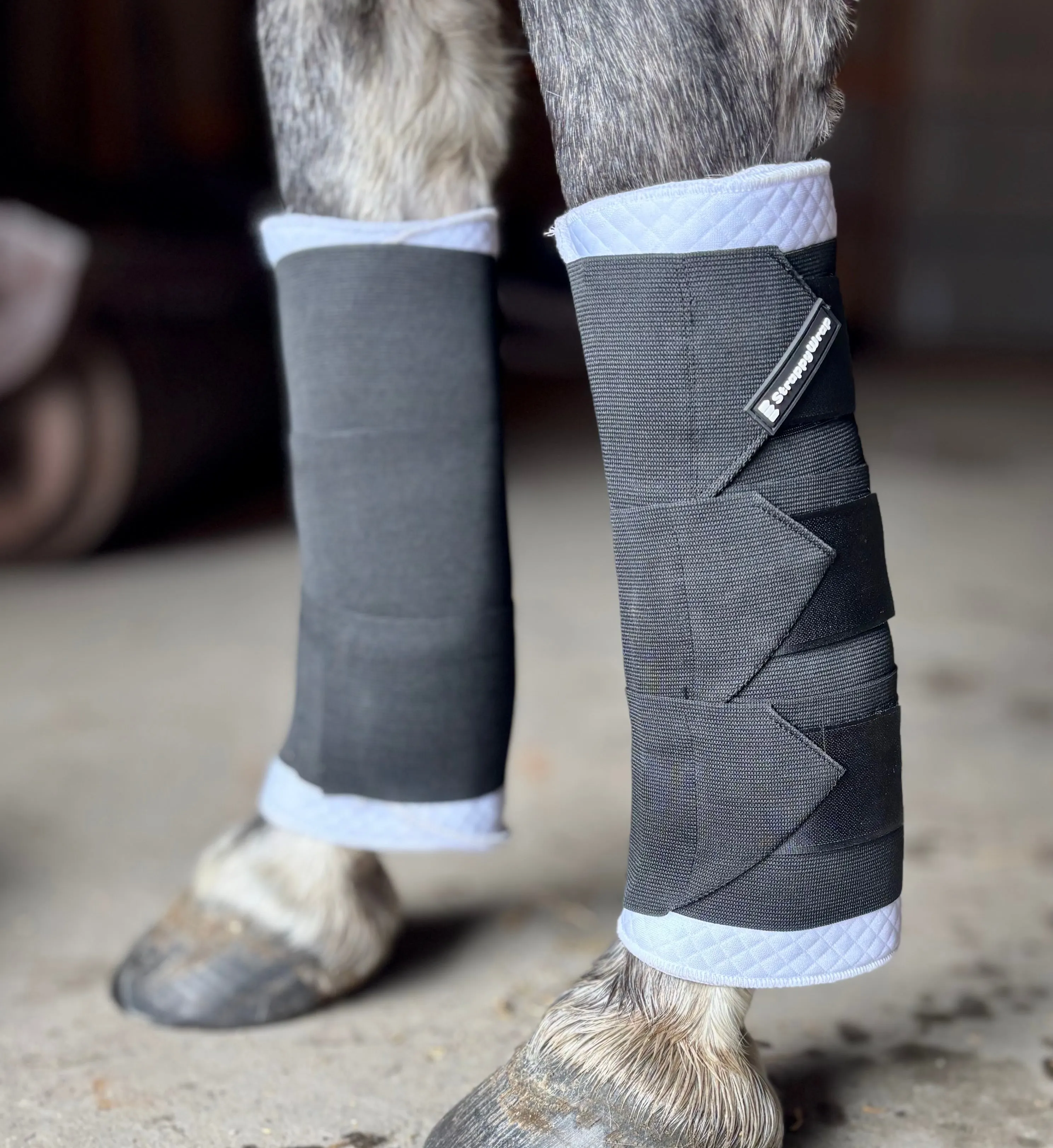 StrappyWrap -  The Ultimate Quick Apply Horse Wraps