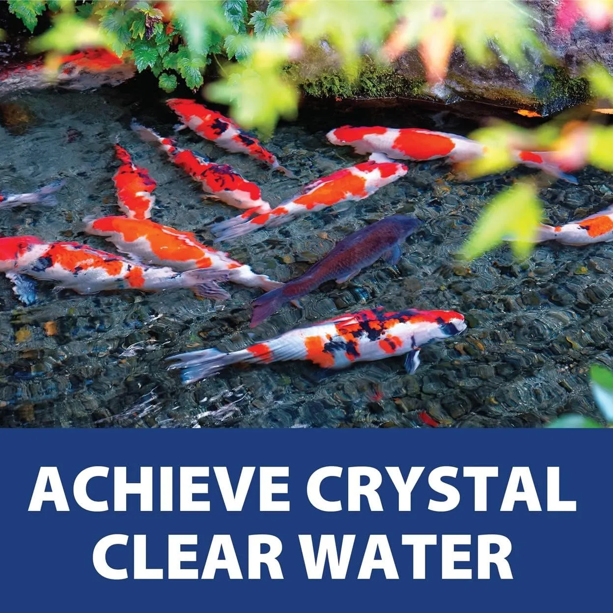 The Pond Guy AllClear G2 Pressure Filter & Ultraviolet Light Clarifier & Pump Combo, Pressurized External UVC Bio & Mechanical Filtration with Backflush System, All Clear 3500 & SolidFlo Pump 2650