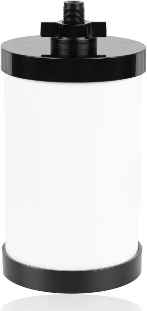 Water Filter Replacement, 2387 Pro Filter Replacement 5000 Gallon Throughput Capacity Compatible with Alexapure Water Filtration System – 1 Filter Pack, Black